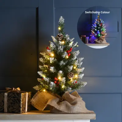 60cm Pre-Lit Berry and Cones Christmas Tree with Warm White & Multi Coloured Lights