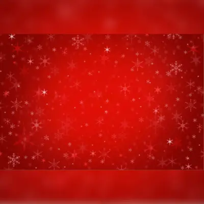 Red Back-Drop with Sparkling Snowflakes Printed Outdoor PVC Banner 2.4m x 4m