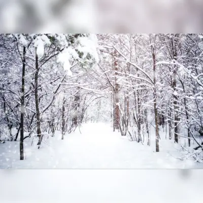 Snow-Covered Forest with Snowy Path Opening Printed Outdoor PVC Banner 2.4m x 4m