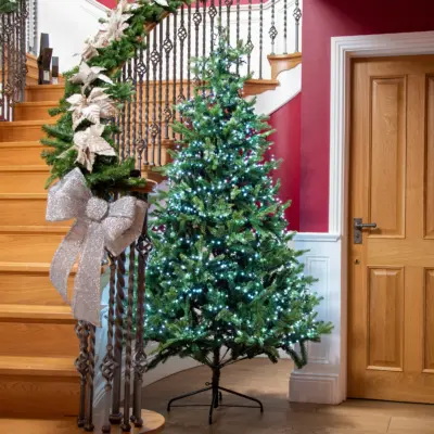 3000 White Treebrights Multi Action LED Lights with Timer