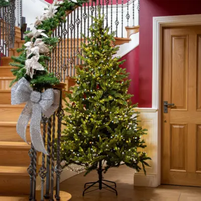 5000 White & Warm White Treebrights Multi Action LED Lights with Timer