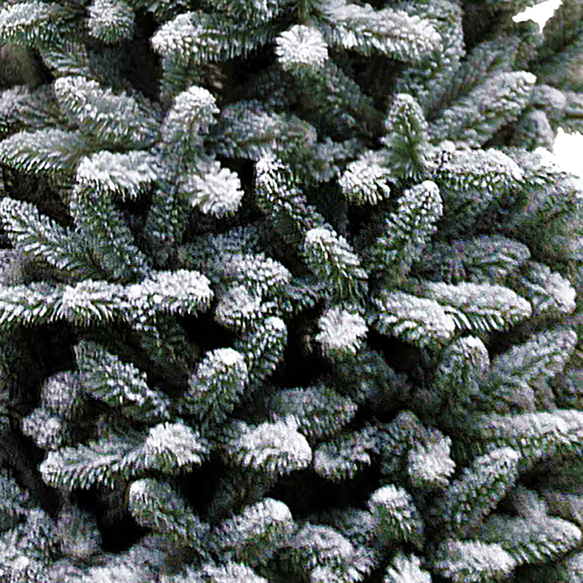 7.5ft Flocked Snowy Kingswood Fir Artificial Pencil Christmas Tree with Metal Stand