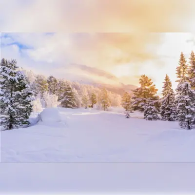 Wintry Forest Valley with Golden Sun Background Printed Outdoor PVC Banner 2.4m x 4m